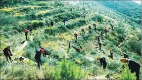  ?? JING SHENHAO / FOR CHINA DAILY ?? Residents of Lanxian county work on the program.