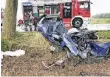  ?? FOTO: FEUERWEHR ?? Die Fahrerin des Renault Clio starb noch im Autowrack.