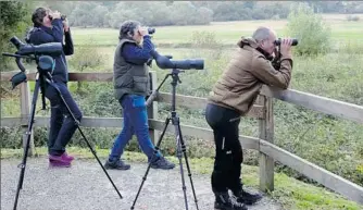  ??  ?? Observatio­n des oiseaux au Lac