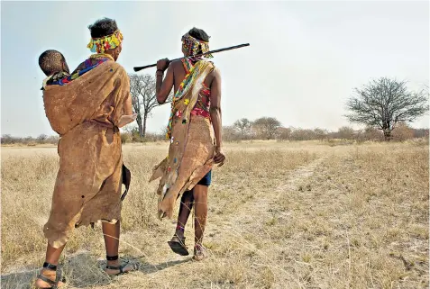  ??  ?? On the move: the Bushmen are being forced from their ancient home