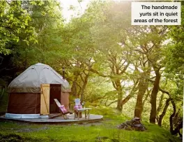  ??  ?? The handmade yurts sit in quiet areas of the forest