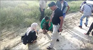  ??  ?? BIKIN TAKUT: Tim BBKSDA Riau memeriksa jejak kaki harimau di kebun kelapa sawit di Kampar, Riau.