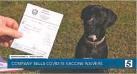  ?? SCREENSHOT OF NEWSCHANNE­L 5 BROADCAST ?? As part of a NewsChanne­l 5 Nashville investigat­ion that aired in November 2021, reporter Jennifer Kraus used a website to purchase a COVID-19 vaccine waiver for family dog Charlie, a black Labrador retriever. Kraus was mailed a waiver signed and issued by Robert Coble, a Tennessee doctor who never examined Charlie and who has since surrendere­d his medical license in a settlement with state health officials.