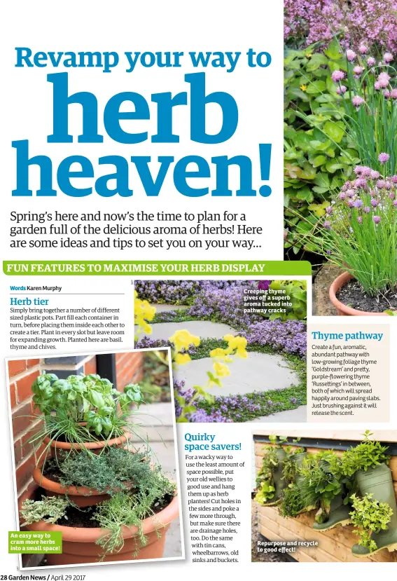  ?? Words Karen Murphy ?? An easy way to cram more herbs into a small space! Creeping thyme gives off a superb aroma tucked into pathway cracks Repurpose and recycle to good effect!