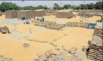  ?? BHARAT BHUSHAN/HT ?? Wheat lying in the open at a grain market in Mehmadpur village of Patiala on Friday.