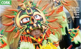  ??  ?? Staying dry: A star of the Cork parade