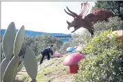  ??  ?? Under the watchful gaze of a triceratop­s dinosaur, Florence Fang adjusts one of her colorful mushroom sculptures in the garden of her new home.