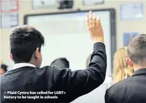  ??  ?? &gt; Plaid Cymru has called for LGBT+ history to be taught in schools