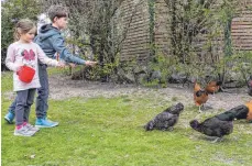  ?? FOTO: CLAUDIA BUCHMÜLLER ?? Noch können Lotta und Louis die Hühner bei den Großeltern auf der grünen Wiese füttern.