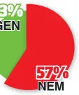  ?? ?? 43%
IGEN
57%
NEM