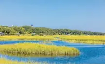  ?? ?? In addition to Atlantic beaches, Amelia Island has many marshes. The Amelia Island Lighthouse is pictured in the background.