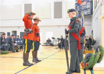  ??  ?? Annapolis District RCMP Staff Sergeant Ed Hubbard salutes after placing a wreath during the Remembranc­e Day service in Bridgetown Nov. 11.