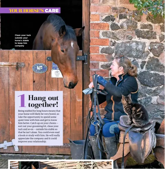  ??  ?? Clean your tack outside your horse’s stable to keep him company