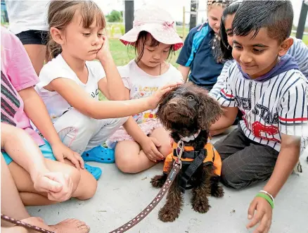  ?? DOMINICO ZAPATA/
STUFF ?? Students at Te Ao Ma¯ rama School get acquainted with 11-week-old puppy Daisy. From left, Nicole Valle, Carla Zhou and Shiv Shokeen.