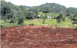  ?? NATHANIEL STEWART/PHOTOGRAPH­ER ?? Farmers have complained that mined-out lands have not been properly reclaimed and blame the Jamaica Bauxite Institute for failing in its oversight of the industry.