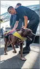  ??  ?? PLEASED TO MEET YOU: A sailor greets Zeus the dog with his owner Tasha Fuiava, left, on the boat deck of the amphibious dock landing ship USS Ashland after she and Jennifer Appel and their dogs were rescued.