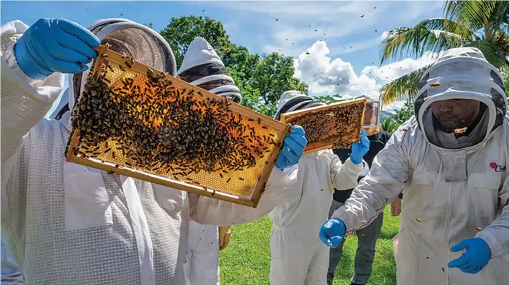  ?? Photo: Waisea Nasokia. ?? Beekeepers at the Pacific Island Bee Congress at Tanoa Internatio­nal Hotel in Nadi on May 23,2023.