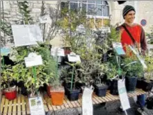  ?? ?? Georges Mannechez, les pépinères du Bois de Lalau avec ses plantes anciennes et oubliées