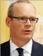  ??  ?? housing reform: Simon Coveney