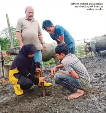  ??  ?? KHAMIS melihat anak-anaknya membuat kerja di kandang kerbau mereka.