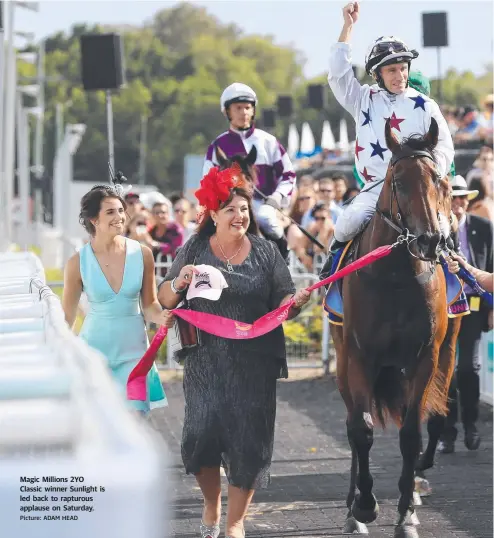  ?? Picture: ADAM HEAD ?? Magic Millions 2YO Classic winner Sunlight is led back to rapturous applause on Saturday.