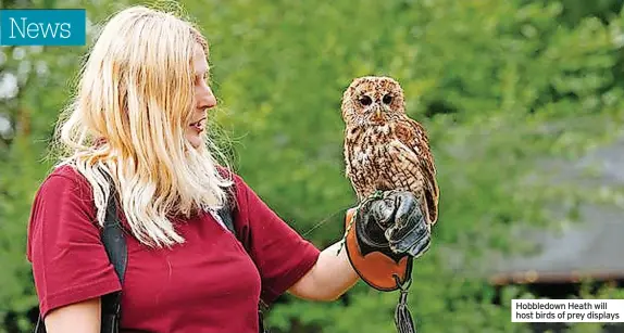  ?? ?? Hobbledown Heath will host birds of prey displays