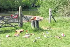  ??  ?? Rubbish left strewn near the Brakes food company site in Nicholas Road, right, more litter on Eureka Leisure Park