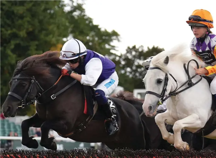  ?? ?? Damerham Briar Lilly ridden by Charlie Harrison-Gigney, left, and Gatebeck Lilly ridden by Nancy Greatrex, right, compete in the Shetland Pony Grand National during the Defender Burghley Horse Trials at Burghley House near Stamford, Lincolnshi­re on Sunday, Sept. 8, 2024. (Joe Giddens/PA via AP)