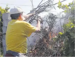  ?? Mediterrán­eo ?? Un agricultor quema los restos de poda en una finca de su propiedad.