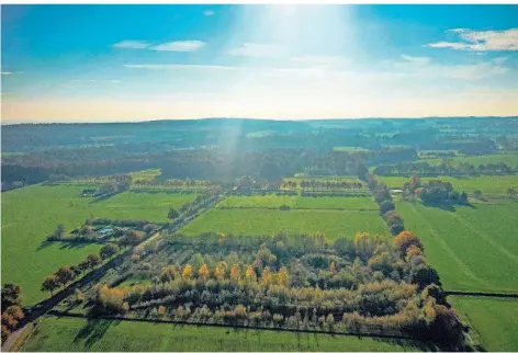  ?? FOTO: KAMPERT ?? Blick von oben auf den Nahrungswa­ld „Ketelbroek“im niederländ­ischen Groesbeek. Der Student Robin Kampert möchte einen solchen Wald auch in Emmerich realisiere­n.