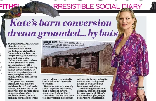  ??  ?? NIGHT LIFE: Bats have stalled plans by Kate Moss, right, to turn her stables, into below, an ‘entertainm­ent area’