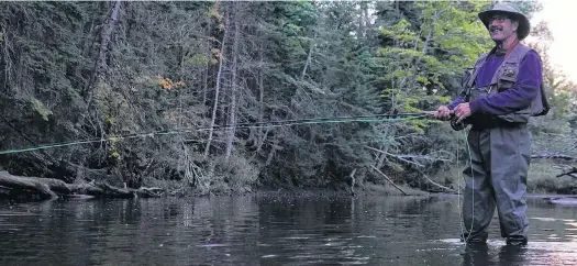  ?? DANIEL BROWN/LOCAL JOURNALISM INITIATIVE REPORTER ?? Cameron Ross fly fishes recently on the Morell River in Green Meadows.