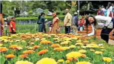  ?? ?? Tourist enjoying the flowers at Bryant Park in Kodaikanal recently