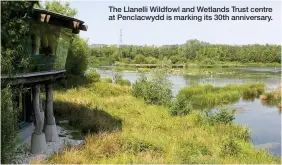  ??  ?? The Llanelli Wildfowl and Wetlands Trust centre at Penclacwyd­d is marking its 30th anniversar­y.