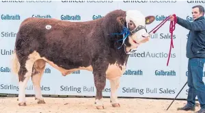  ??  ?? The reserve senior champion, Wolfstar Jimmy Choo, sold for 17,000gn