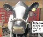  ??  ?? Star turn Vallerie the singing cow