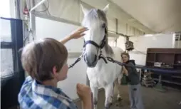  ?? CARLOS OSORIO/TORONTO STAR ?? Joe Fornasier, right, listens to a horse’s stomach while Dylan Wood pets him.