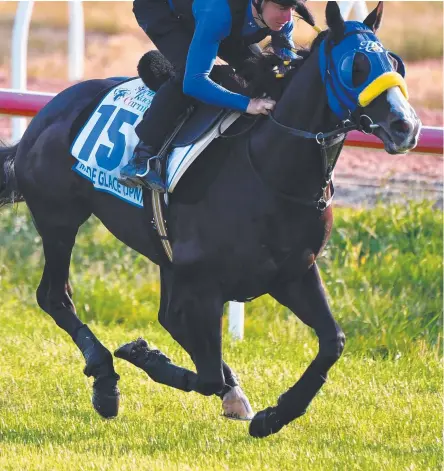  ?? Picture: AAP IMAGE ?? Damian Lane rides Cup contender Mer De Glace at Werribee yesterday.