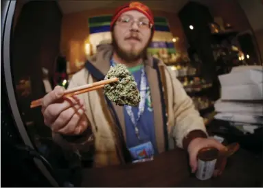  ??  ?? In this Friday, Dec. 9, 2014, file photograph, Matt Hart holds up a bud of Lemon Skunk, the most potent strain of marijuana available at the 3D Dispensary in Denver. AP PHOTO