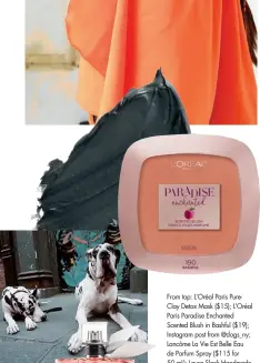  ??  ?? From top: L’Oréal Paris PureClay Detox Mask ($15); L’Oréal Paris Paradise Enchanted Scented Blush in Bashful ($19); Instagram post from @dogs_ny; Lancôme La Vie Est Belle Eau de Parfum Spray ($115 for 50 mL); Laura Slack Handmade Luxury Chocolate ($7). For details, see Shopping Guide.