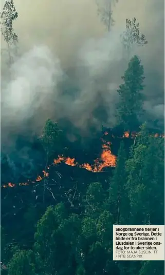  ?? FOTO: MAJA SUSLIN, TT / NTB SCANPIX ?? Skogbranne­ne herjer i Norge og Sverige. Dette bilde er fra brannen i Ljusdalen i Sverige onsdag for to uker siden.