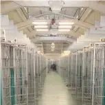  ?? ?? Cause for jubilation: Palm Beach County Animal Care & Control "Kennel Two" completely empty.