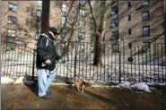  ?? MARK LENNIHAN - THE ASSOCIATED PRESS ?? Wayne Martinez walks his dog at the Queensbrid­ge Houses, Friday, Nov. 16, in New York. Asked about the possibilit­y of Amazon locating a headquarte­rs near the public housing complex in Long Island City, Martinez said, “Some of my co-workers think that it’s not a good thing. I think it is good if it brings jobs to the neighborho­od.”