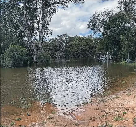  ?? ?? The Billabong Creek level near the Jerilderie Boat Ramp was at 2.4m on Sunday.