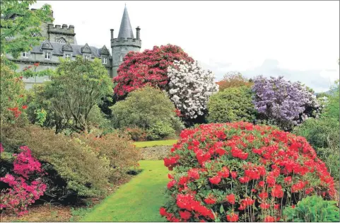  ??  ?? Inveraray Castle, above, Benmore Gardens, and Arduaine Garden will be hosting activities and ‘rhodo walks’ for all the family, alongside 17 other estates in Argyll and the Isles.