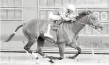  ??  ?? Imperial Royal (1), resultó ser el tercer triunfo de Carlos de León en la jornada del martes.