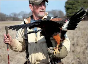  ??  ?? Ron Russell and his Harris’s hawk head back to Butler Lodge after a morning hunt.