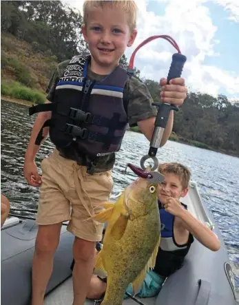  ?? PHOTO: CONTRIBUTE­D ?? BIG CATCH: Karter George with a cracking yellowbell­y from Cooby Dam this week caught on a Kezza lure.