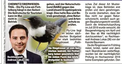  ??  ?? Rechtsanwa­lt Andreas Lukas (36)
Die Ringdrosse­l ist vom Aussterben bedroht. Am Fichtelber­g haben geschätzte fünf bis sieben Paare das letzte Brutgebiet in Sachsen.