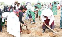  ?? - Pictures: John Manzongo ?? Agric4She patron First Lady Dr Auxillia Mnangagwa applies manure as she leads women in planting maize seeds in Zhombe yesterday.